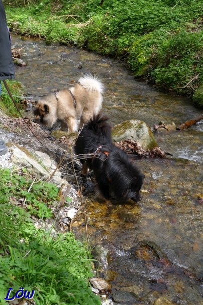 30.3.2024 - Wasserschlürfen